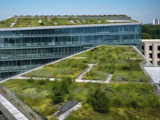 Case Study: Creating An Extensive Residential Green Roof